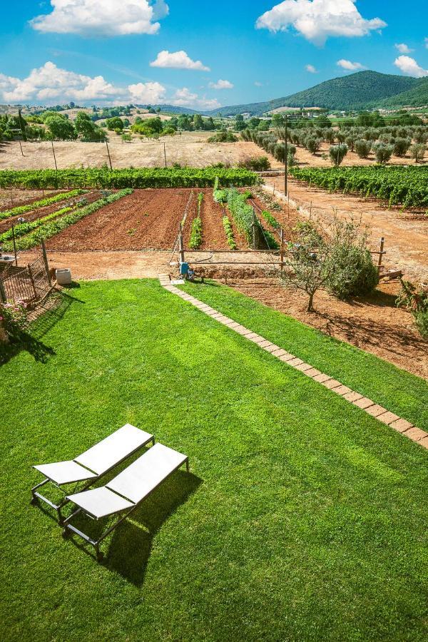 Poggiolivi Agriturismo Bio In Maremma Alberese Exteriör bild