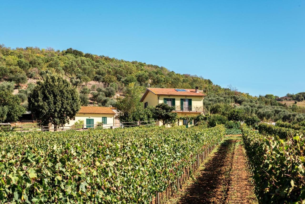 Poggiolivi Agriturismo Bio In Maremma Alberese Exteriör bild